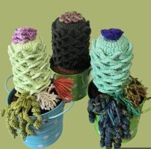 Crochet Cactus