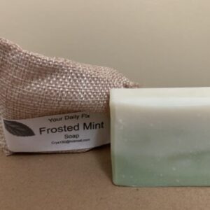 Frosted Mint Mini Soap