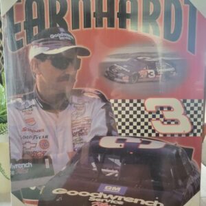 Dale Earnhardt - 2